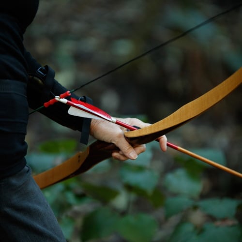 Archery Adventures In Stunning Native Bush In Nelson, Nz - Archery Park 