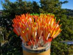Complete neon coloured carbon arrow with 4" feather fletching, 100grn point and ready to go