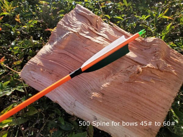 Complete neon coloured carbon arrow with 4" feather fletching, 100grn point and ready to go, 500 spine