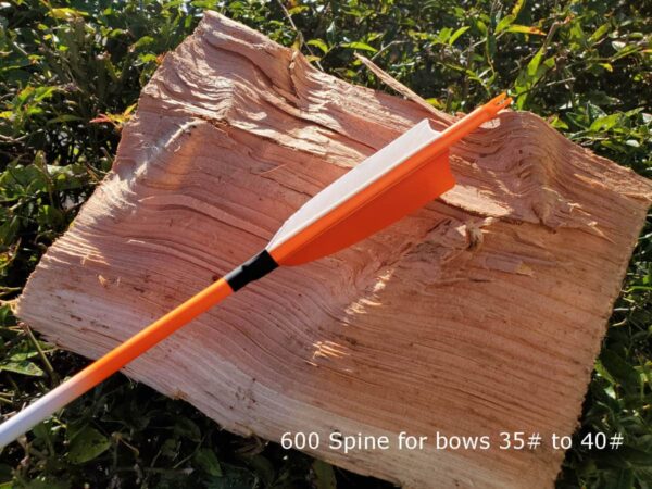 Complete neon coloured carbon arrow with 4" feather fletching, 100grn point and ready to go, 600 spine