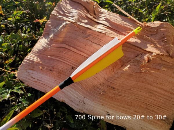 Complete neon coloured carbon arrow with 4" feather fletching, 100grn point and ready to go, 700 spine