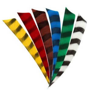 Archery Park Products - Bearpaw Feathers 5 Inch Shield Barred