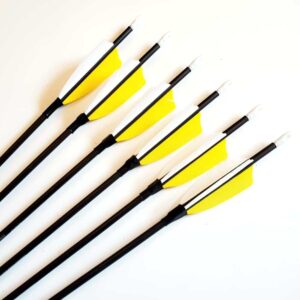 Carbon Youth Arrows, 900 spine, real fether fletching yellow and white