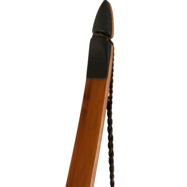 Archery Park Products: Bearpaw Bodnik Slick Stick Hybrid Longbow Tip