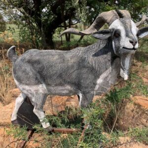 Archery Park Products - Wildcrete 3D target goat 2