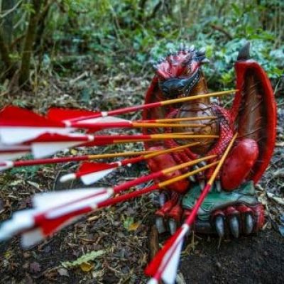 3D dragon archery target full of arrows at Archery Park Nelson